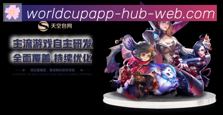 未来规划